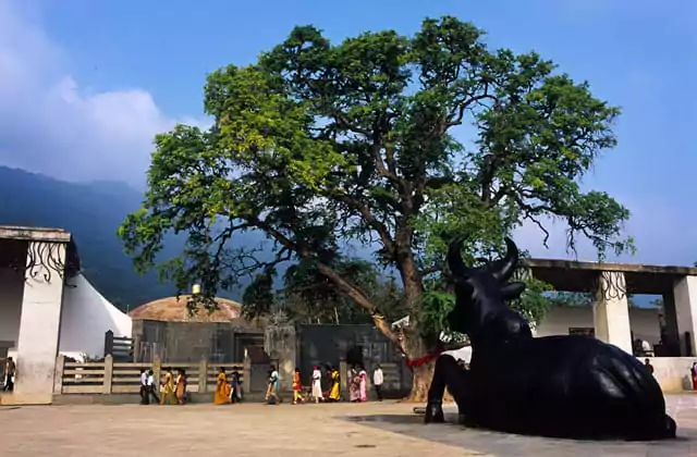 trung tam isha yoga khóa học coimbatore